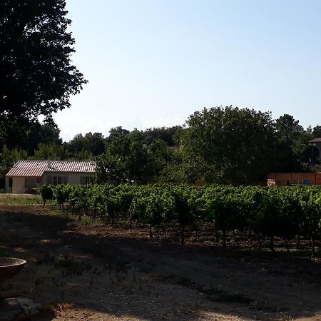 La Petite Maison Dans Les Vignes Chamaret Εξωτερικό φωτογραφία